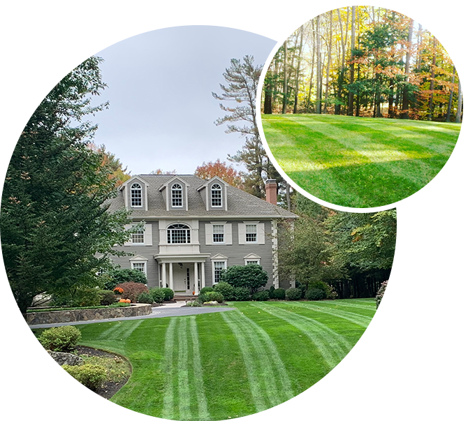 A house with a lot of grass in front and trees