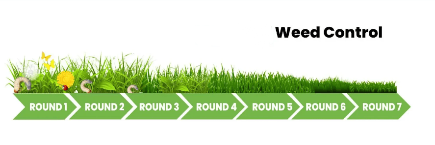 A green grass strip with the words " vote for " in each of the five sections.