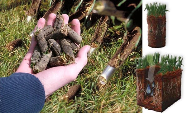 A person holding some plants in their hands